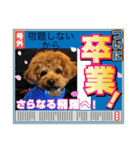 かわいいジェ2(修正)（個別スタンプ：16）