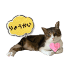 ごえもん日和19（個別スタンプ：7）