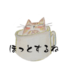 にゃんこイラスト/色鉛筆（個別スタンプ：5）