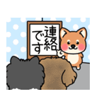 わんこ達と一緒の生活（個別スタンプ：30）