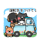 わんこ達と一緒の生活（個別スタンプ：34）