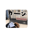 野球部日常4（個別スタンプ：16）