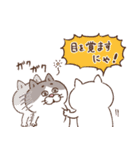 目付きの悪い猫【ねこ語2】（個別スタンプ：8）