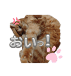 なんてったってネコ（個別スタンプ：8）