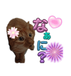 なんてったってネコ（個別スタンプ：9）