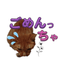 なんてったってネコ（個別スタンプ：13）