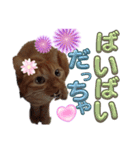 なんてったってネコ（個別スタンプ：16）