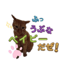 ネコの最悪な本音（個別スタンプ：3）