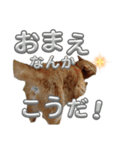 ネコの最悪な本音（個別スタンプ：6）