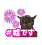 ネコの最悪な本音（個別スタンプ：16）