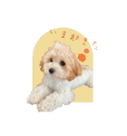 ぷうのゆるい日常（個別スタンプ：2）
