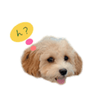 ぷうのゆるい日常（個別スタンプ：4）
