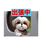 シーズー犬のハッピーライフ（個別スタンプ：16）