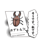 JAPANかわちぃ子0008（個別スタンプ：7）