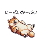 うちなーぐちな太っちょ柴犬（個別スタンプ：33）