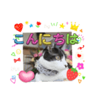 piliさんちのルナちゃんラナちゃんスタンプ（個別スタンプ：2）