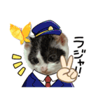 piliさんちのルナちゃんラナちゃんスタンプ（個別スタンプ：5）
