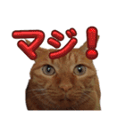 並木のすずどまり（個別スタンプ：2）