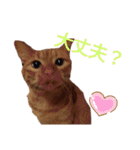 並木のすずどまり（個別スタンプ：4）