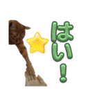 並木のすずどまり（個別スタンプ：9）
