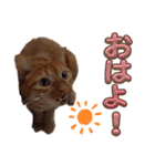 並木のすずどまり（個別スタンプ：10）