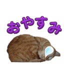 並木のすずどまり（個別スタンプ：12）