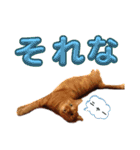 並木のすずどまり（個別スタンプ：18）