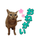 並木のすずどまり（個別スタンプ：19）