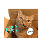並木のすずどまり（個別スタンプ：31）