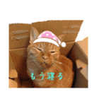 並木のすずどまり（個別スタンプ：34）