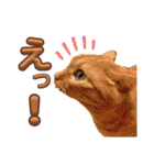 並木のすずどまり（個別スタンプ：35）