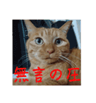 並木のすずどまり（個別スタンプ：36）