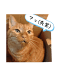 並木のすずどまり（個別スタンプ：37）