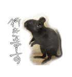 なかよしデグーワールド 2（個別スタンプ：9）