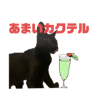 お酒とネコ好きな日常会話7（個別スタンプ：19）