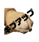 お酒とネコ好きな日常会話7（個別スタンプ：28）