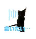 お酒とネコ好きな日常会話7（個別スタンプ：29）
