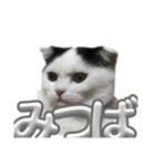 MITSUBA モノトーン（個別スタンプ：1）