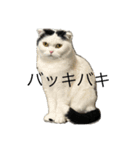 MITSUBA モノトーン（個別スタンプ：11）