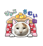 愛するニャンズの日々のつぶやき 日常会話（個別スタンプ：9）