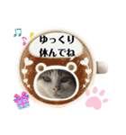 愛するニャンズの日々のつぶやき 日常会話（個別スタンプ：18）