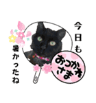 愛するニャンズの日々のつぶやき 日常会話（個別スタンプ：19）