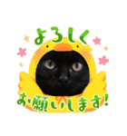 愛するニャンズの日々のつぶやき 日常会話（個別スタンプ：26）
