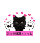 愛するニャンズの日々のつぶやき 日常会話（個別スタンプ：32）