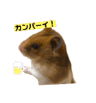 おハムの日常♪（個別スタンプ：2）