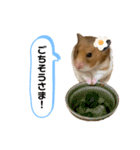 おハムの日常♪（個別スタンプ：14）