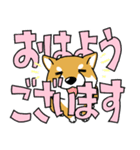 柴犬スタンプ30～大きな文字に隠れる柴犬～（個別スタンプ：11）