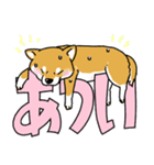 柴犬スタンプ30～大きな文字に隠れる柴犬～（個別スタンプ：27）