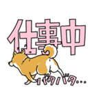 柴犬スタンプ30～大きな文字に隠れる柴犬～（個別スタンプ：29）