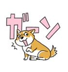 柴犬スタンプ30～大きな文字に隠れる柴犬～（個別スタンプ：31）